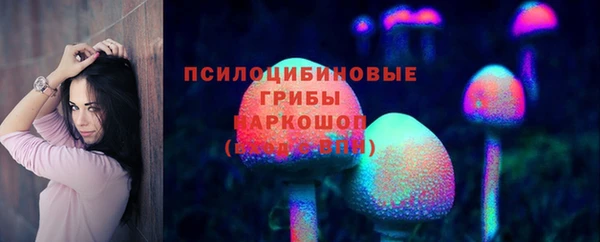твердый Магадан