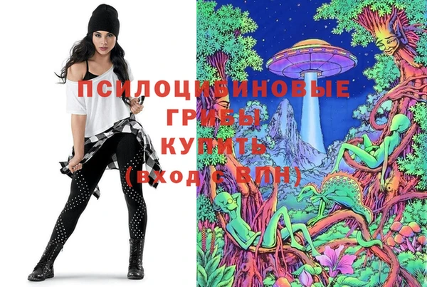 дмт Липки