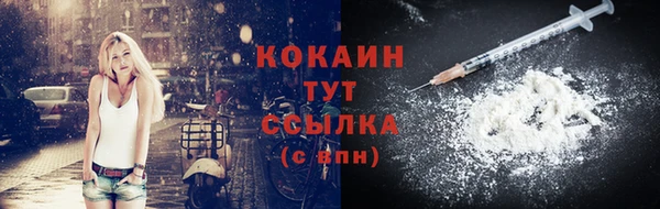 твердый Магадан