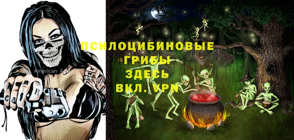 дмт Липки