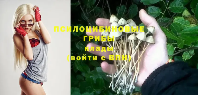 Галлюциногенные грибы MAGIC MUSHROOMS  Слюдянка 