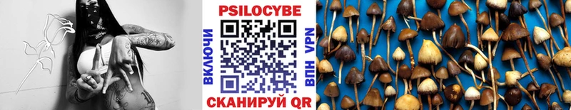 что такое   Слюдянка  Галлюциногенные грибы прущие грибы 